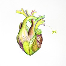 Herz 1, Aquarell und Farbstifte auf Papier, Susanne Güldenpfennig, Hannover