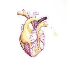 Herz 2, Aquarell und Farbstifte auf Papier, Susanne Güldenpfennig, Hannover