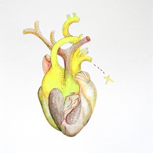 Herz 4, Aquarell und Farbstifte auf Papier, Susanne Güldenpfennig, Hannover